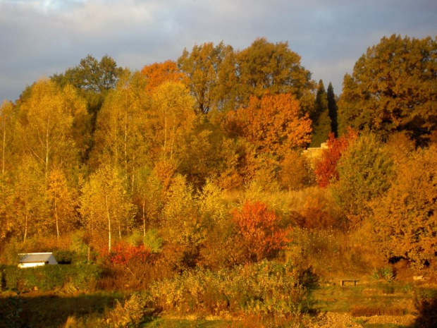 widok z okna pokoju dnia 25.10.2006 rano