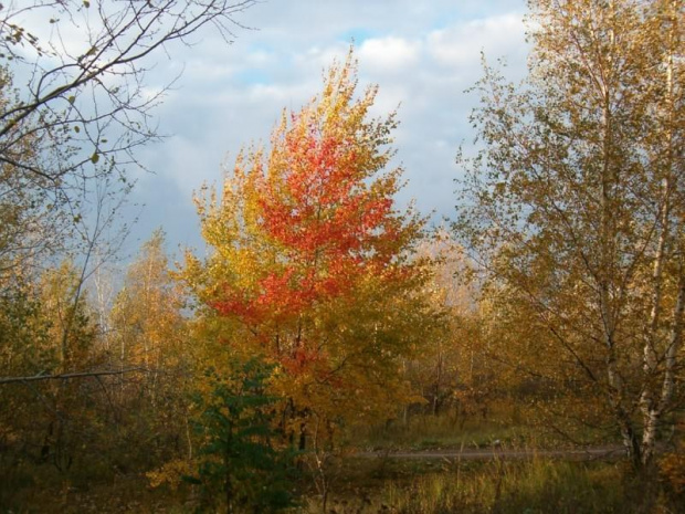 Korabka koło"Pekinu"