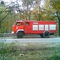 244 osp długie