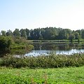 Białowieża