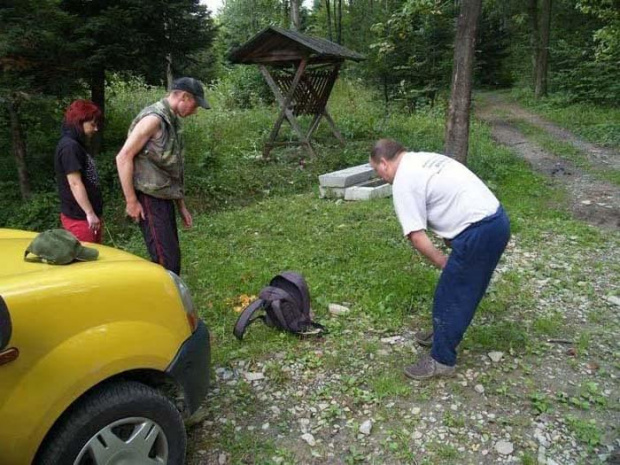 grzybobranie na Budach