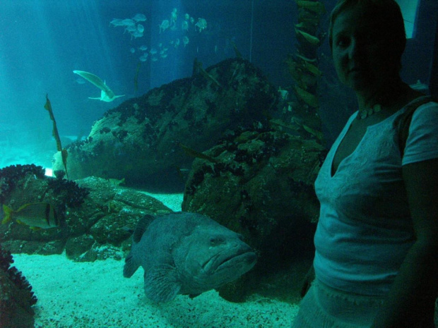 oceanarium