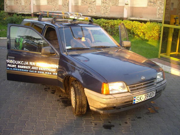 NIezniszczalny środek transportu mniejszych palm i drzew.