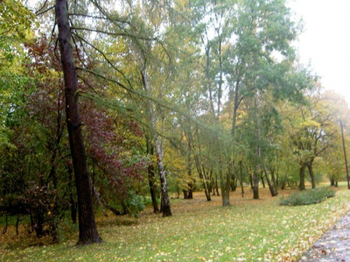 Westerplatte-mimo ulewy,pięknie jest #Westerplatte #jesień #NadMorzem #park