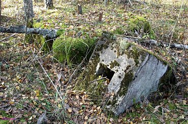 Poligon Orzysz #Wycieczka #PoligonOrzysz #Rower #Remes #Mazury