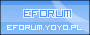 eForum - botton