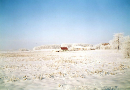 Zdjęcia zrobione w południe przy szesnastostopniowym mrozie. #Uszyce #zima