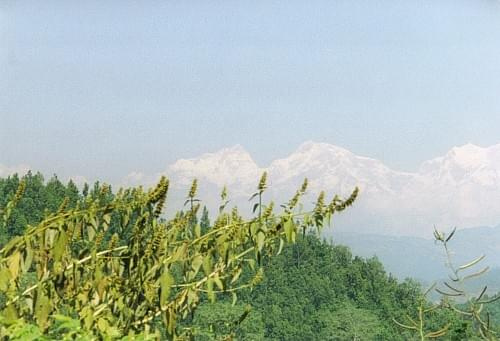 Nepal - widok na Himalaje z drogi do Pokhary (Machhapuchre - z lewej, Annapurna z prawej)