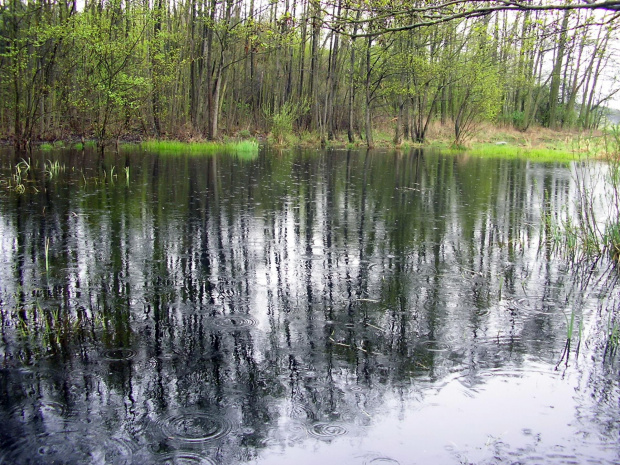 Kociałkowa Górka