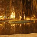 Kraków Noca :) - tak tak ta fota byla robiona w zupelnej ciemnosci - magiczny krakow ;) #kraków #krakow #krk #park #krakowski #magiczny #zaczarowany #woda #wierzby #noc #nocny