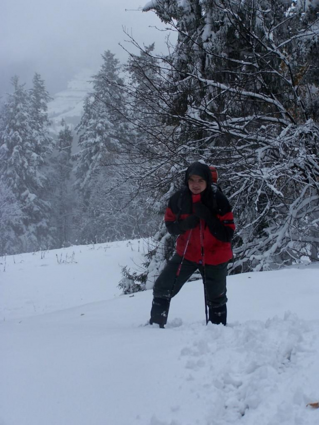 PIENINY- SROMOWCE NIżNE 2006