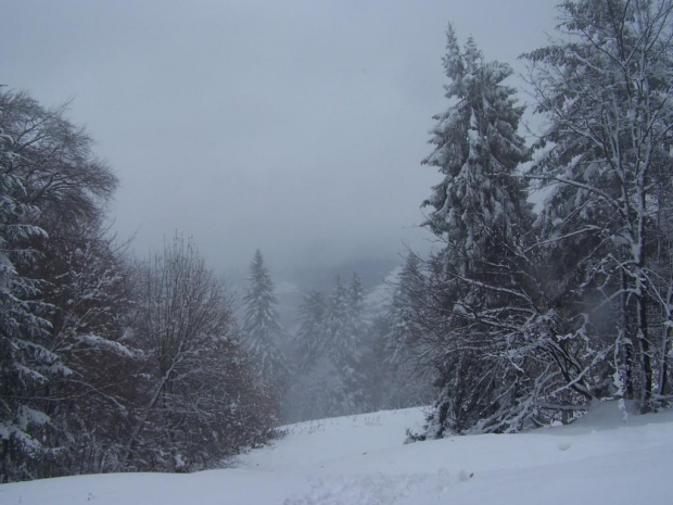 PIENINY- SROMOWCE NIżNE 2006