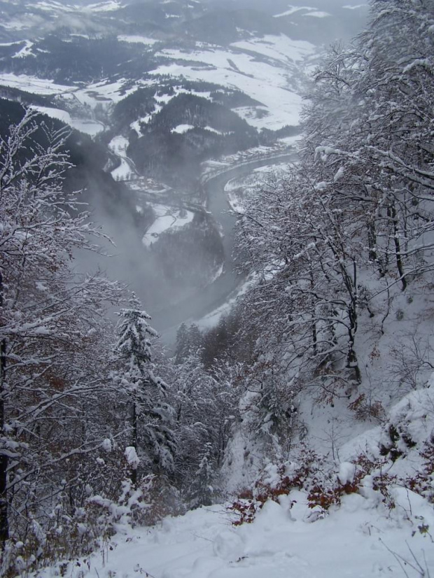 PIENINY- SROMOWCE NIżNE 2006