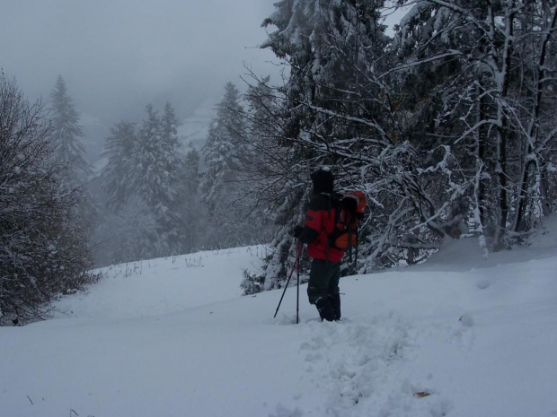 PIENINY- SROMOWCE NIżNE 2006