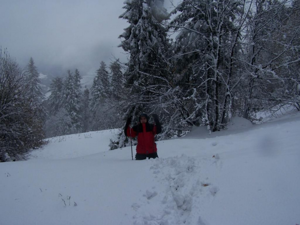 PIENINY- SROMOWCE NIżNE 2006