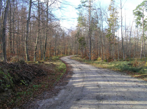 Droga Czapelsk - Skrzeszewo