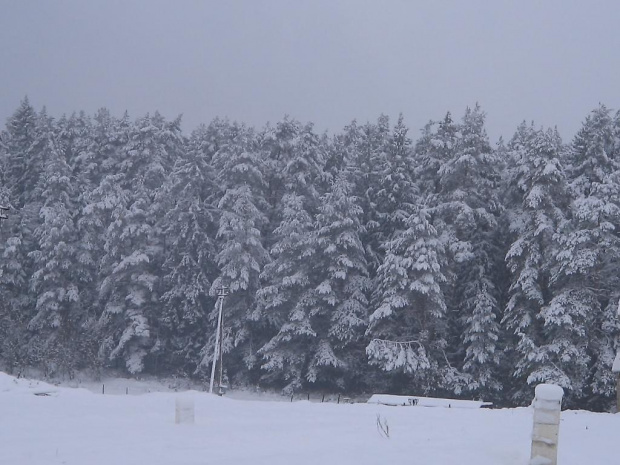 widok przez okno zimą