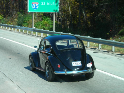 Old Beetle