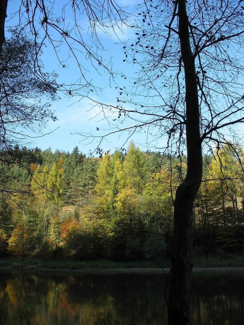 Pieniny #Pieniny #góry #jesień #Dunajec #Szczawnica