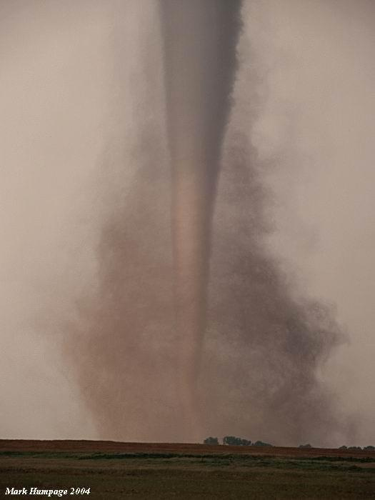 Tornado