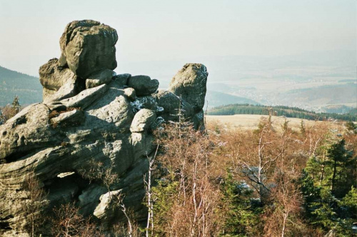 G. stołowe 2003
