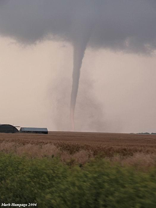 Tornado