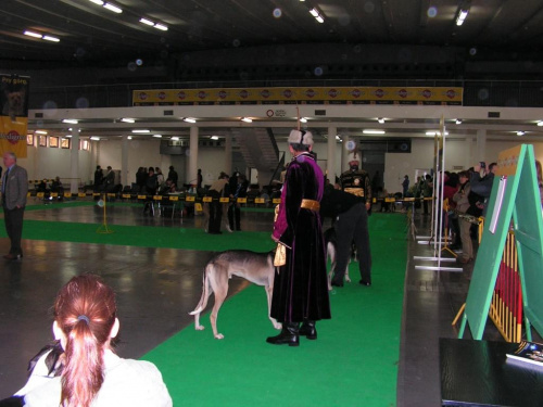 Poznań 2006 - World Dog Show i okolice ;)