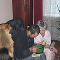 Kamila+Judaica album