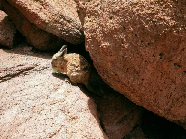 Bolivia