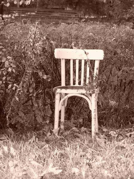 Zapomniane krzesło