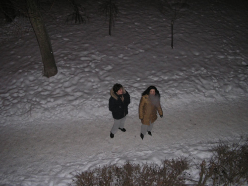 Yima+stzcyen2006