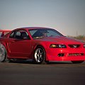 Ford SVT Mustang Cobra R #Ford #Mustang #Cobra #auto #samochod #samochód