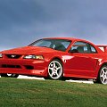 Ford SVT Mustang Cobra R #Ford #Mustang #Cobra #auto #samochod #samochód