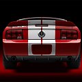 Ford Shelby GT500 (2007) #Ford #Shelby #GT500 #auto #samochod #samochód