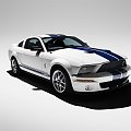 Ford Shelby GT500 (2007) #Ford #Shelby #GT500 #auto #samochod #samochód