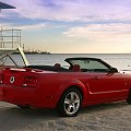 Ford Mustang GT Convertible (2007) #Ford #Mustang #Convertible #auto #samochod #samochód