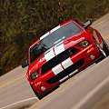 Ford Shelby GT500 (2007) #Ford #Shelby #GT500 #auto #samochod #samochód