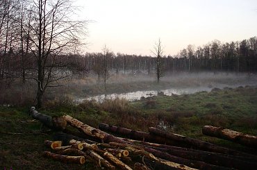 Puszcza Piska - Bagna Snopkowskie #Remes #Rower #Wycieczka #PuszczaPiska #BagnaSnopkowskie #Mazury