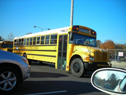 School bus. International