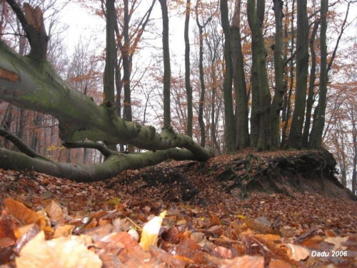 Z perspektywy Urwiska