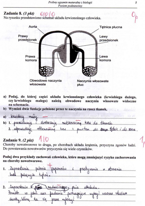 matura