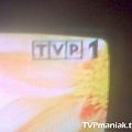 Tragedia w KWK "Halemba" - relacje TVP