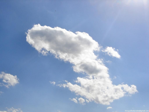 Chmurka ... mi przypomina delfina :) #Niebo #chmury #lato #wakacje