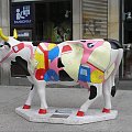 #krowa #warszawa #jerozolimskie