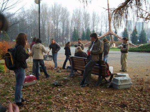 Park chorzowski 19.11.06