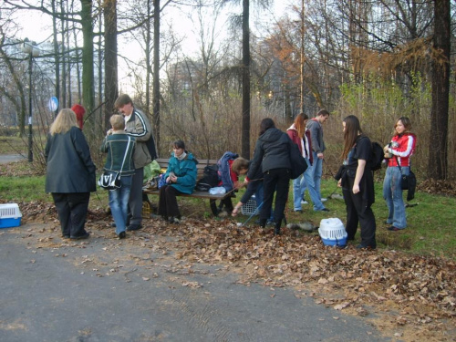 Fretkowe spotkanie - 26.11.06