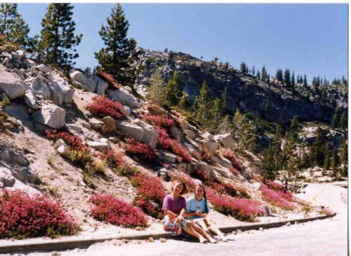 NA DRODZE DO YOSEMITE, CALIFORNIA