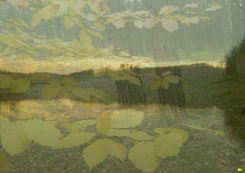 jesien nad jeziorem Otomino #impresja #jesień #jezioro