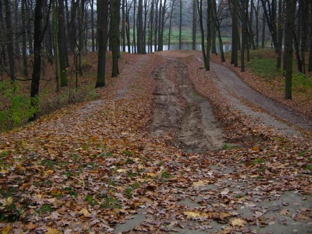 Tor saneczkowy zwany powszechnie "rudelką" może tak nie wygląda ale zimą jest koszmarnie stromo. #park #BydgoskiePrzedmieście #Toruń