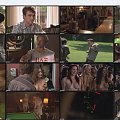 American.Pie.The.Naked.Mile.2006.STV.DVDRiP.XViD-BOLOX